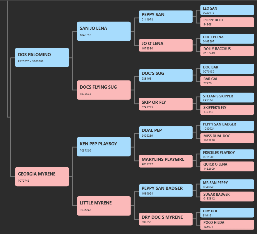 Genealogia Ken Dos Play