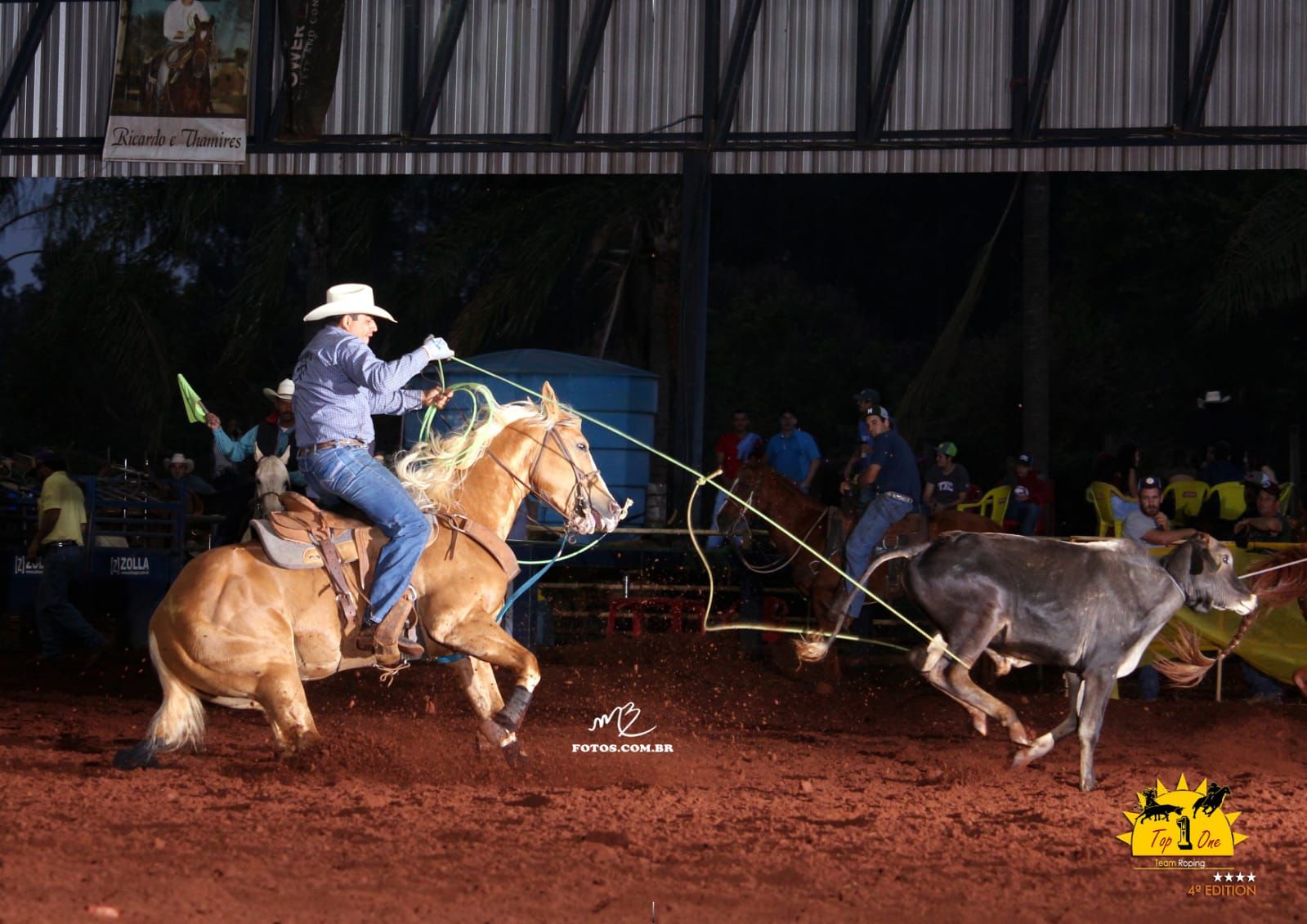 Cavalo Quarto de Milha