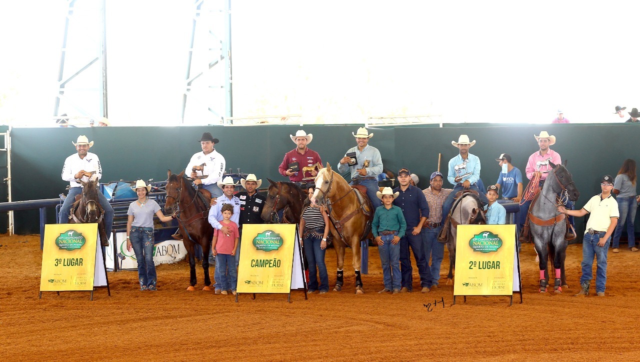 Cavalo Quarto de Milha