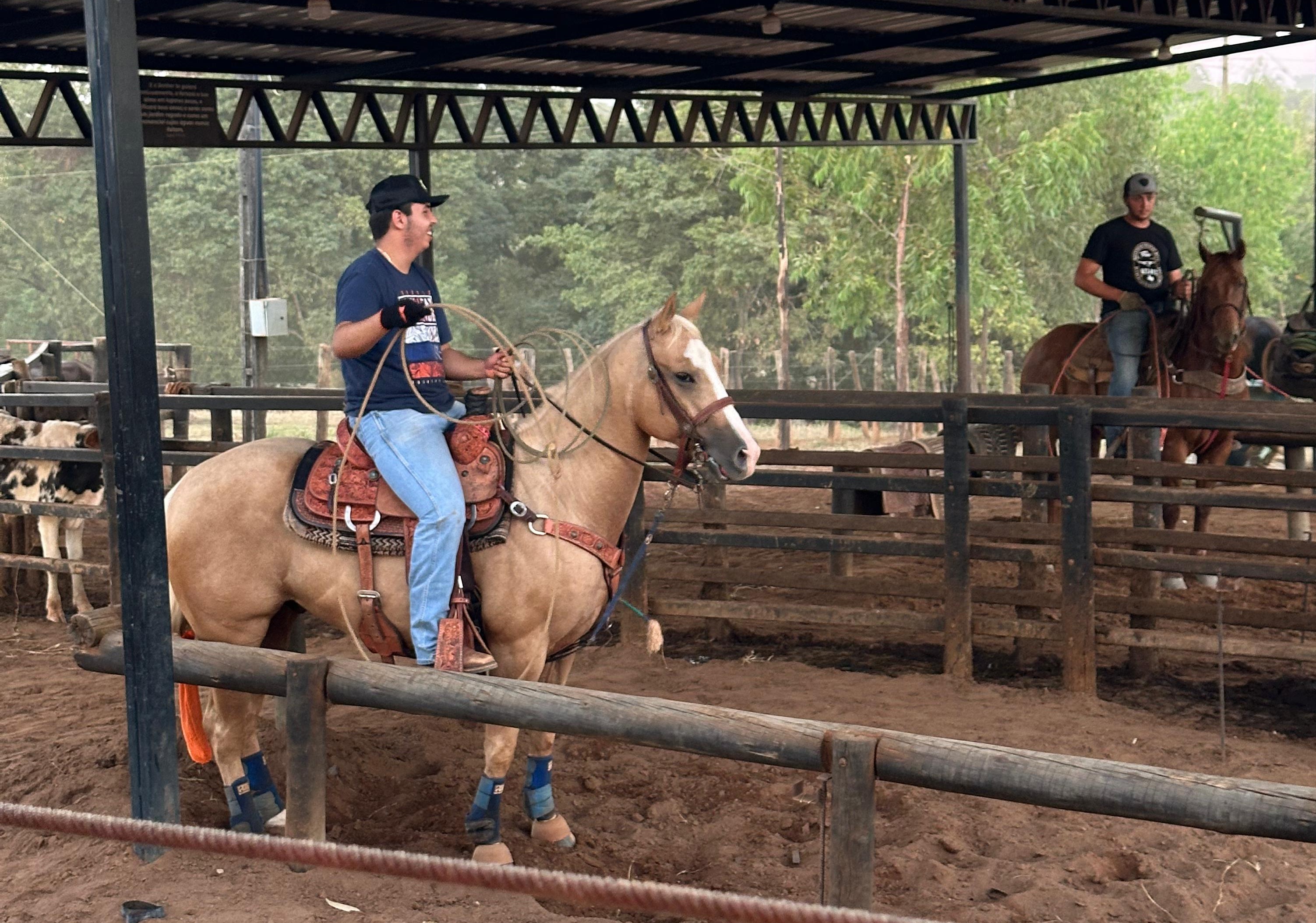 Thor em atividade de laço 1