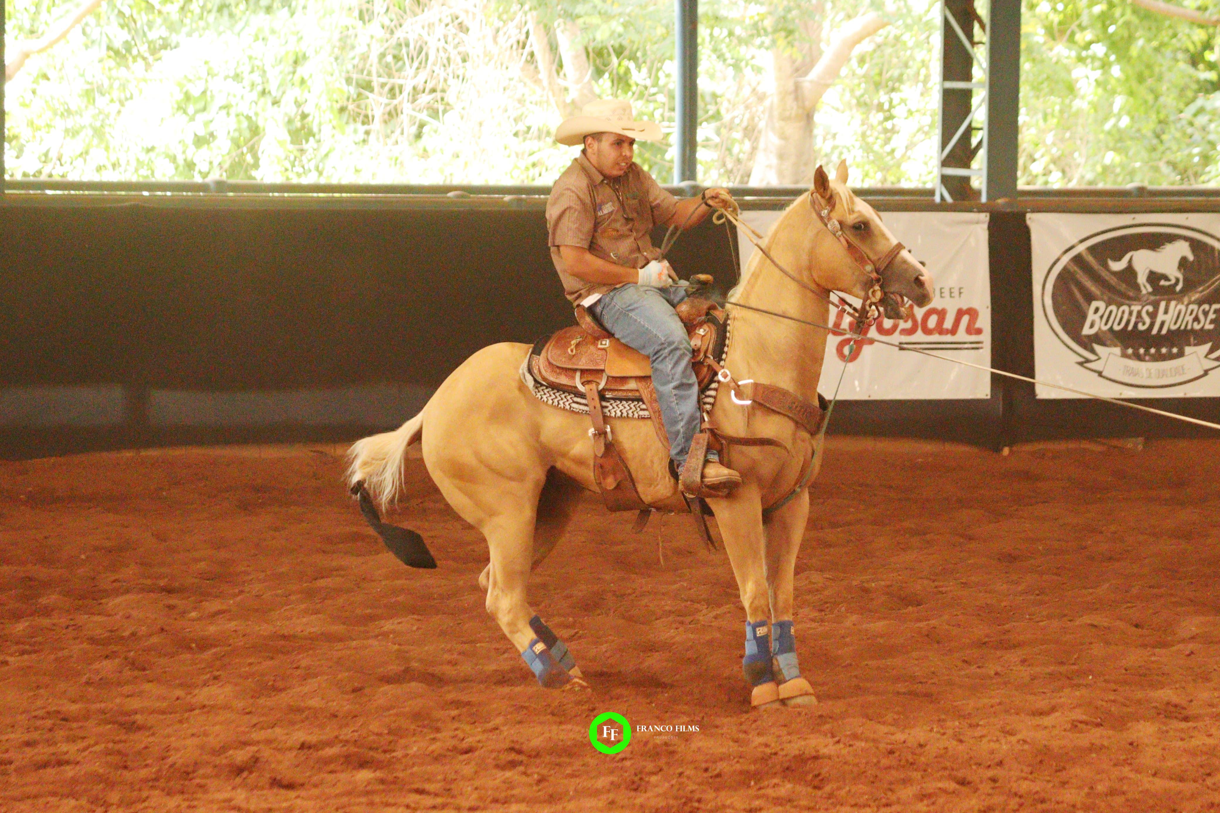 Thor em atividade de laço 2